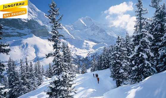 Saison-Sportpass 2016/2017 Jungfrau Ski Region, 6 Übernachtungen inkl. Halbpension für 2 Personen im Landhotel Golf & Salzano SPA ***S. Inkl. zwei Jungfrau Travel Pass für 6 Tage und 2 x 7-Tages-Sportpass-Gutschein Jungfrau Ski Region gewinnen